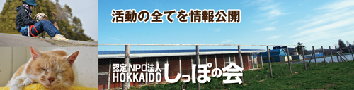 TOP04.jpg