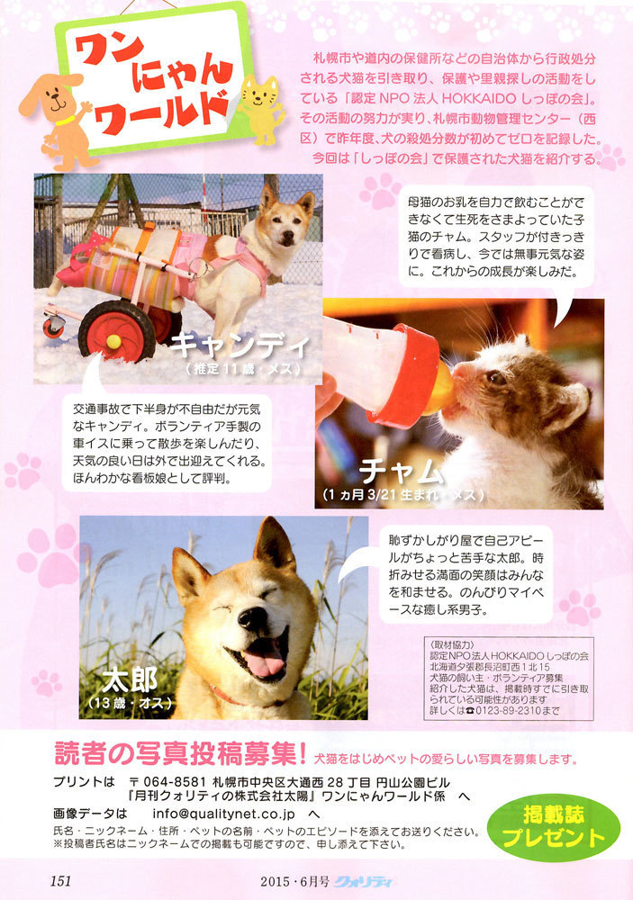 犬 里親 札幌 譲渡可能犬 猫収容情報 センターからの譲渡 札幌市