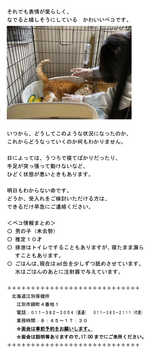 03.jpg