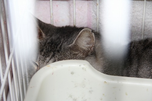 061302mo-ri-.jpg