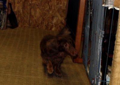 11020102.jpg
