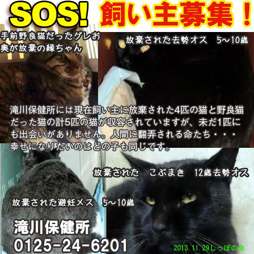 1129takikawa.jpg