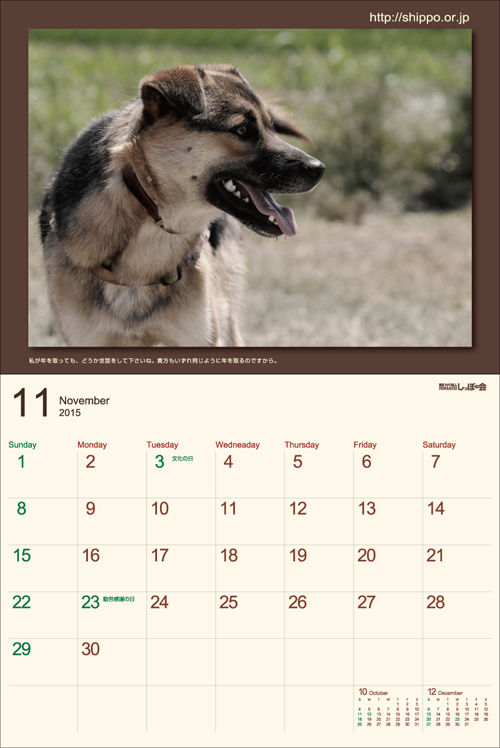 11月_umekomi.jpg