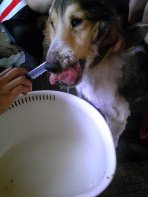 120608_1150521.jpg