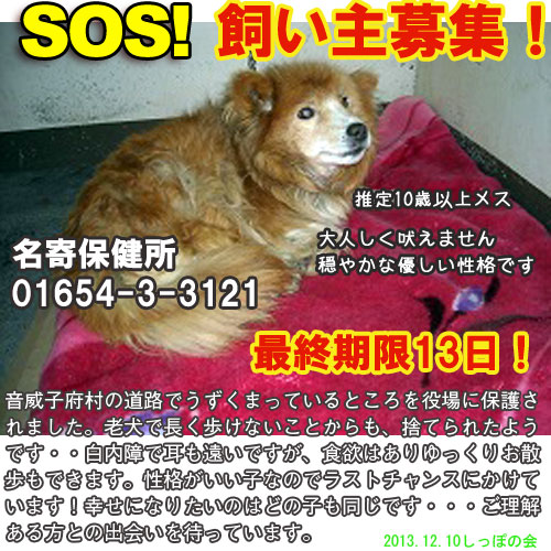 1210nayoro.jpg