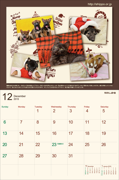 12月_umekomi.jpg