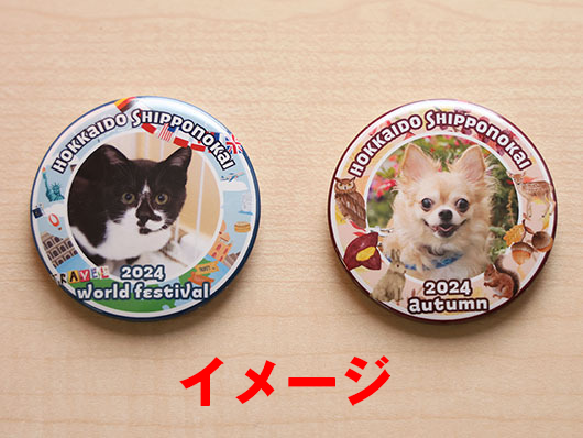 154A7149s.png