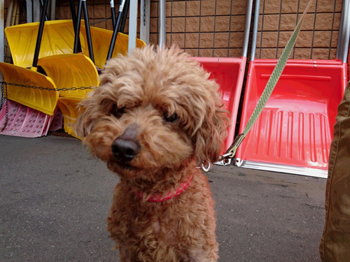 16.07.07tomakomai1.jpg