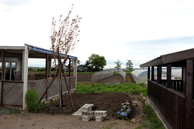 2012.05.jpg