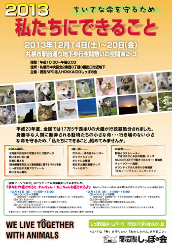 2013dekirukotos.jpg