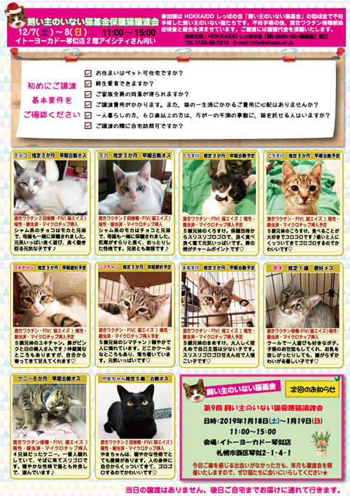 2019.12.7.8参加猫表2ketteiouts.jpg