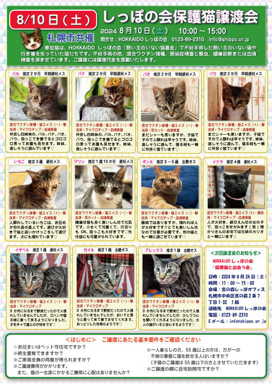 2024.08.10センター譲渡会参加猫表.jpg