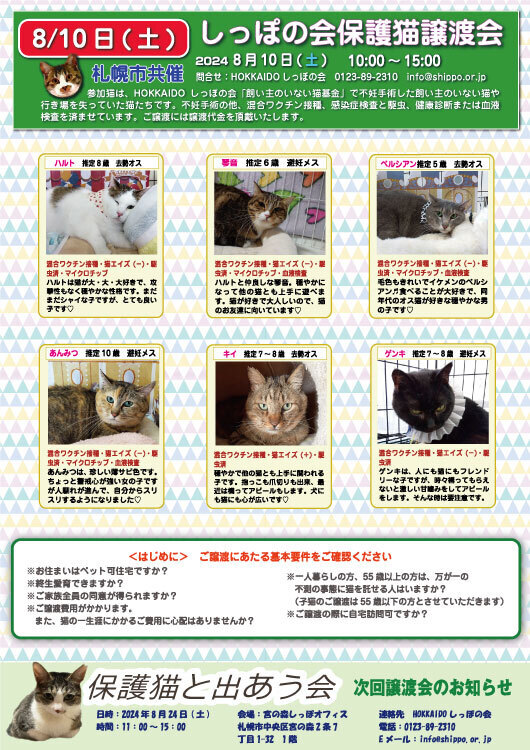 2024.08.10センター譲渡会参加猫表2out.jpg