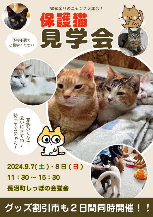 2024.09.07.08猫舎見学会.jpg