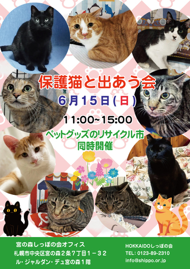 2025.3.12宮の森譲渡会.jpg