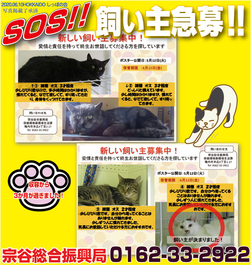 6.10souya.jpg