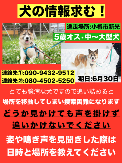 885B1893-8472-477B-BD33-AFA3D9A5702F.jpg