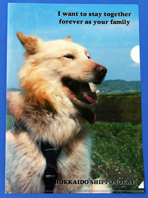 A4inu1.jpg