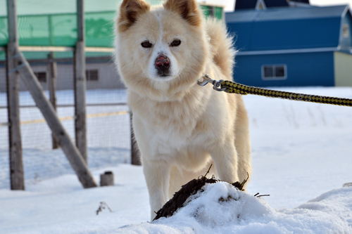 DSC_7526.jpg