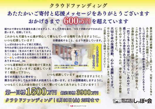 クラファン600万円達成.png