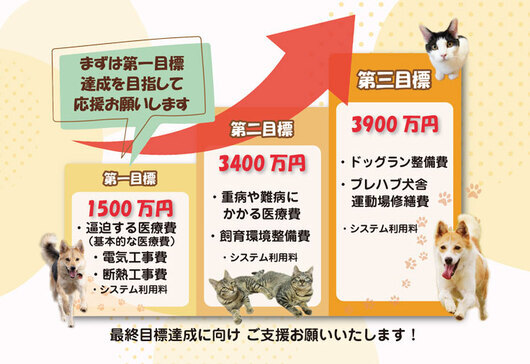 グラフ.jpg