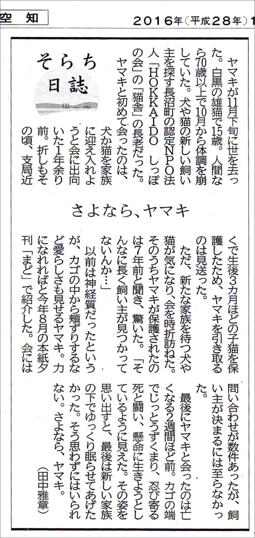 ヤマキの記事.jpg