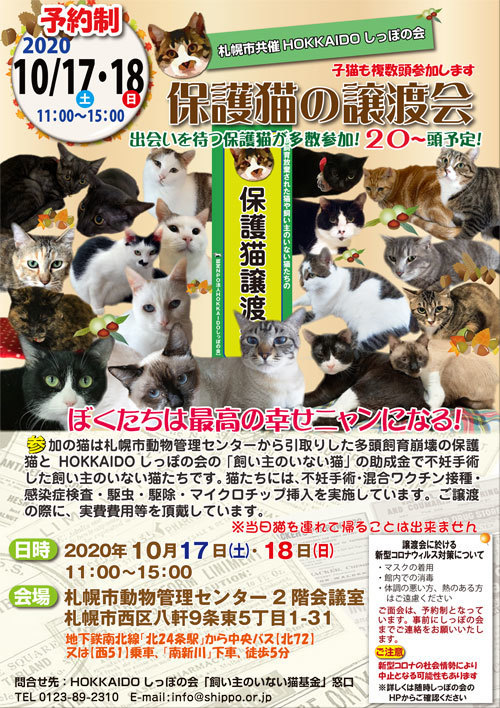 保護 猫 札幌