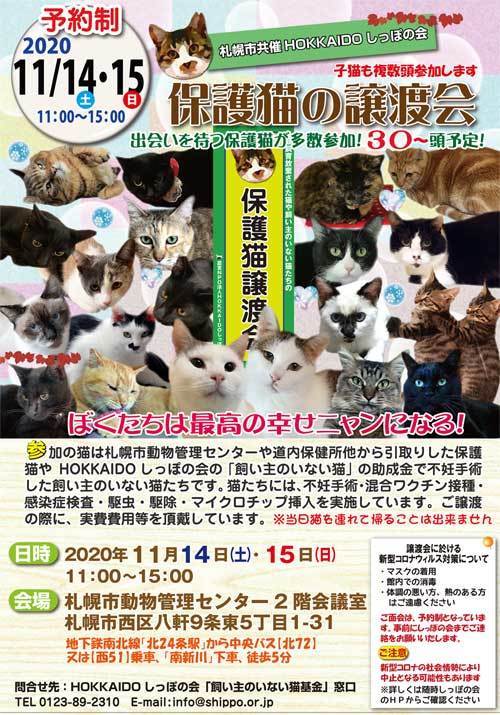 11 14 土 15 日 札幌市共催 保護猫譲渡会 新たな参加猫 Part2 しっぽレポート