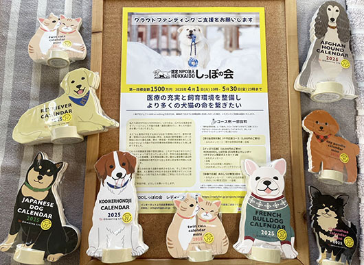 S__156917775s.jpg