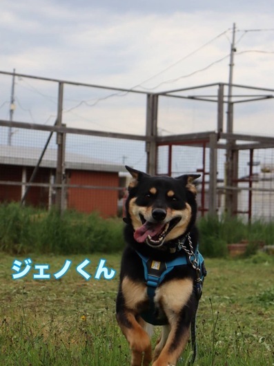 S__163848200_0.jpg