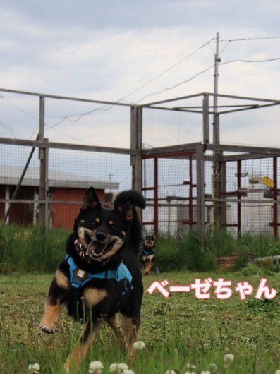 S__163848201_0.jpg