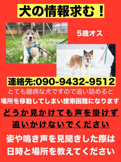 S__165707778.jpg