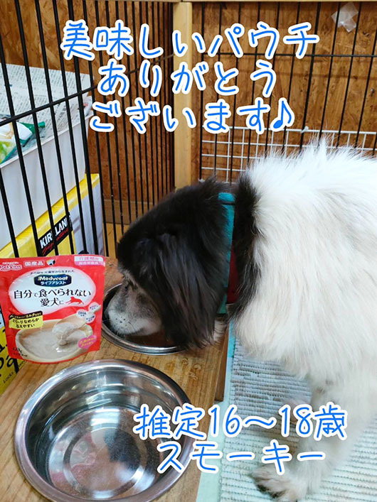 S__33923082_0s.jpg