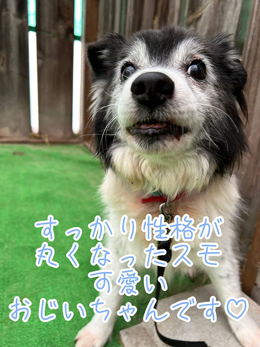 S__33947662_0s.jpg