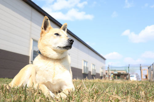 S__48275459.jpg
