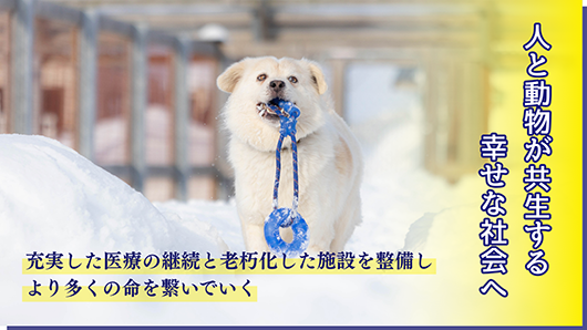 TOP_0331s.png