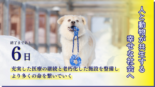 content_72154e4636d6e60102f1bcc0c4b37f628a556527.png