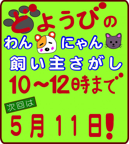 doyoubibana-803f8.jpg