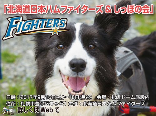 fighters-s.jpg