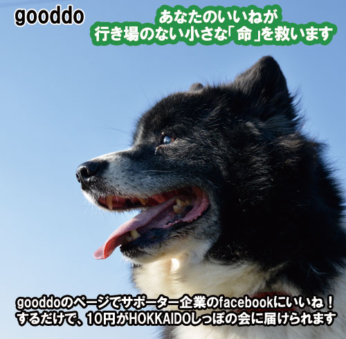 gooddo.jpg