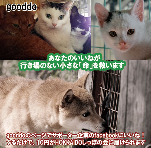 gooddo11.jpg