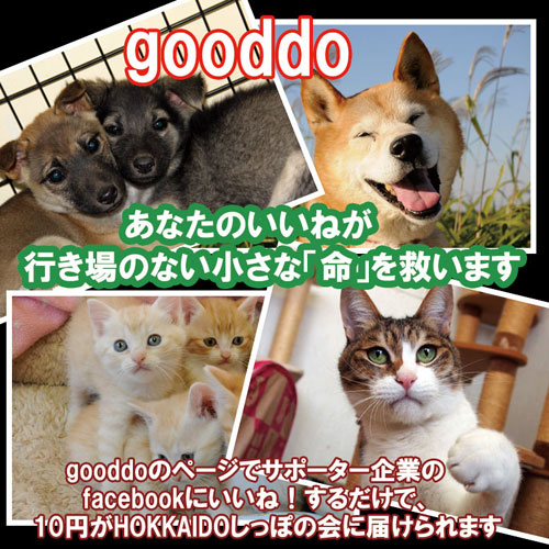 gooddo500.jpg