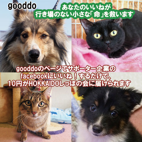 gooddo6.jpg