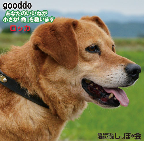 gooddo9.21.jpg