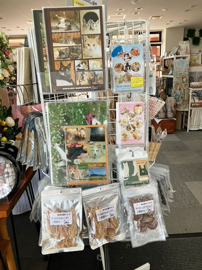 image3 (2).jpeg