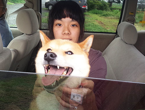 kojirou1.jpg