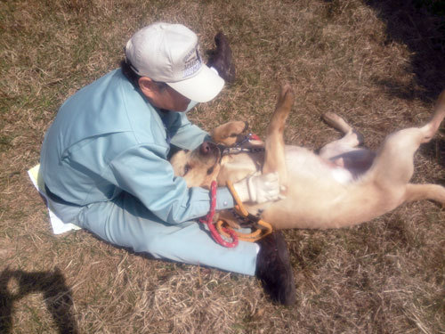 masao3s.jpg