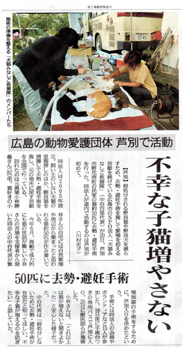 minasigo1.jpg