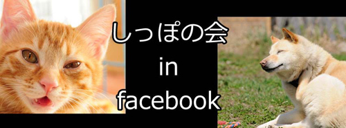 shipponokaifacebook.jpg