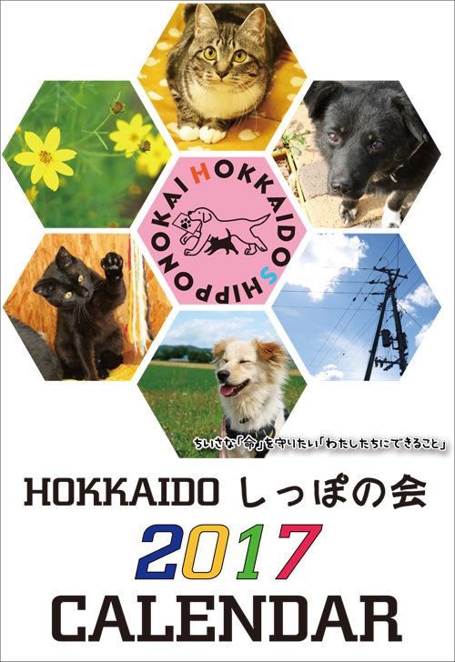 takujyouomote500.jpg